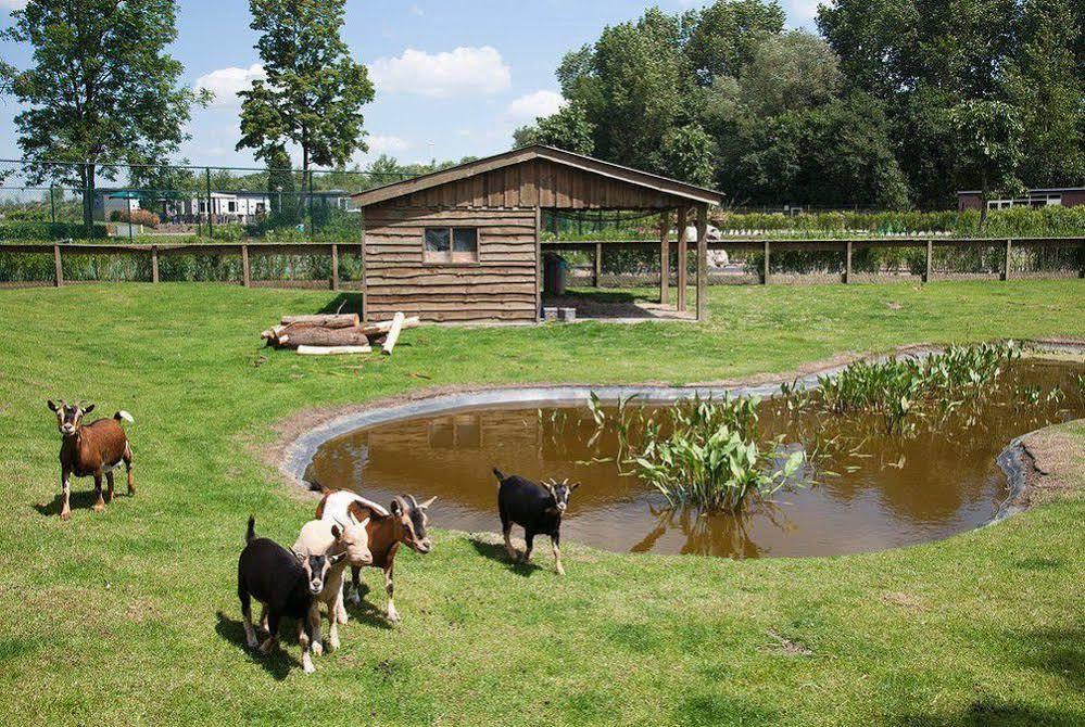 Europarcs De Biesbosch Hotell Willemsdorp Eksteriør bilde